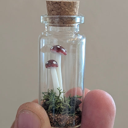 Mini Closed Mushroom Terrarium