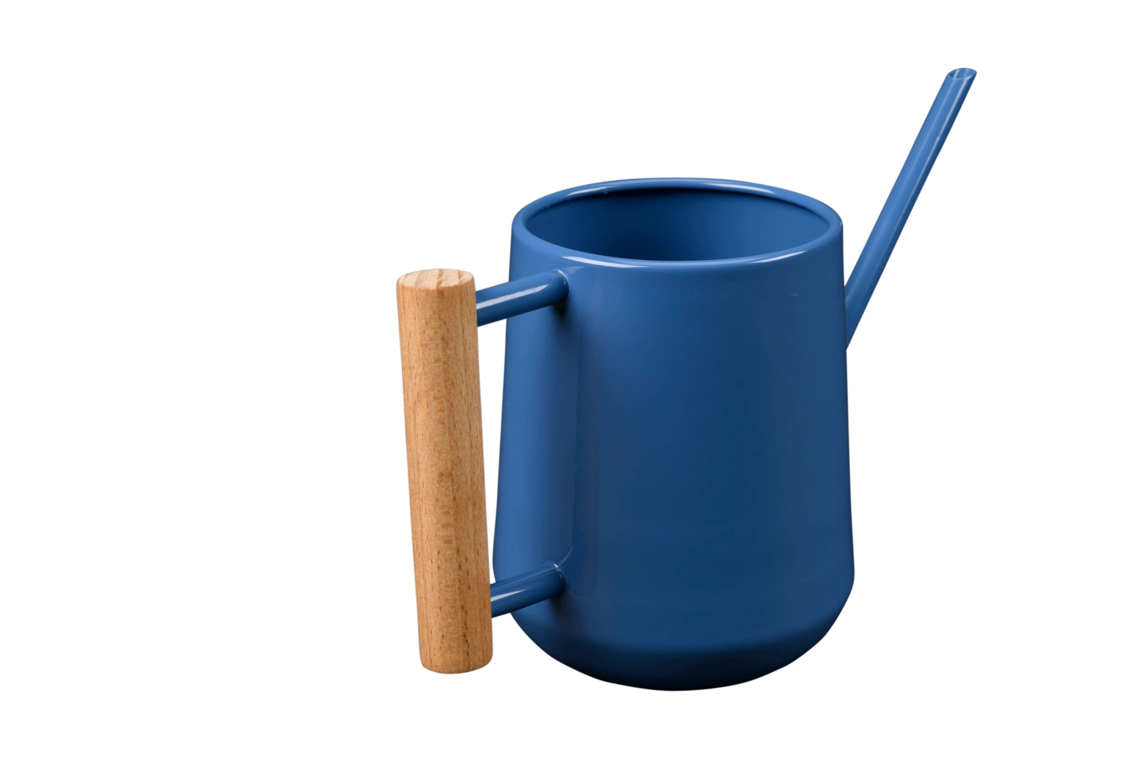 Small Indoor Watering Can