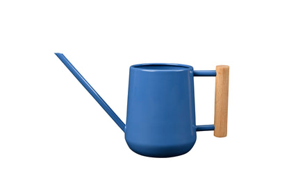 Small Indoor Watering Can