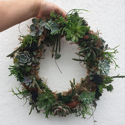 21/02/2024 at 11am Living succulent wreath workshop