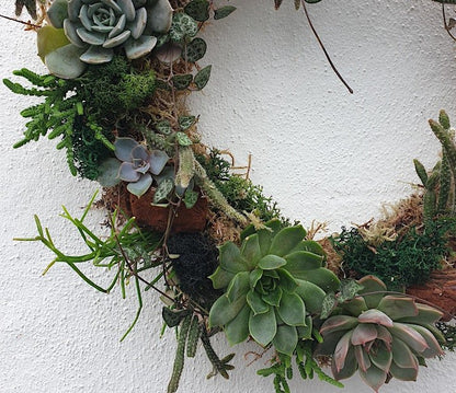 21/02/2024 at 11am Living succulent wreath workshop