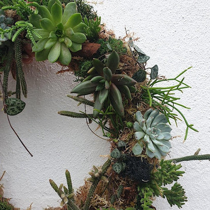 21/02/2024 at 11am Living succulent wreath workshop