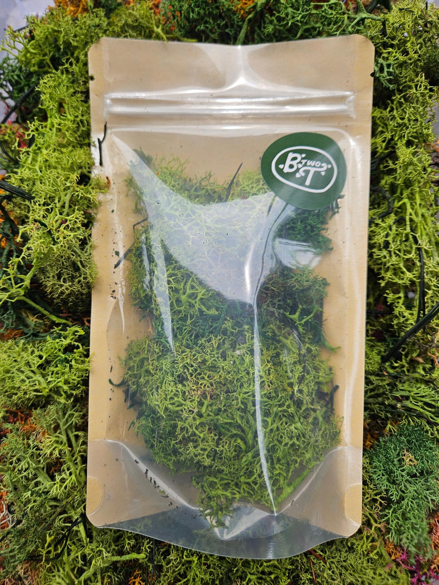 Decorative Reindeer Moss