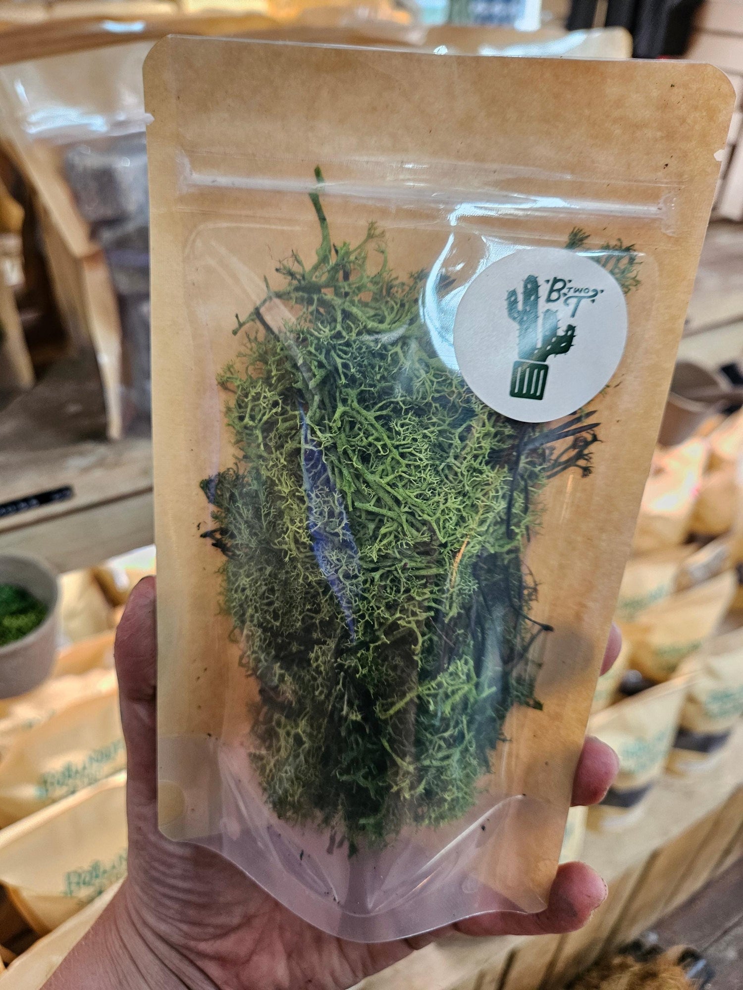 Decorative Reindeer Moss