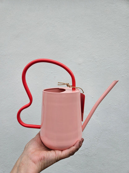 Colourful watering can- 1.2L -3 colour ways available