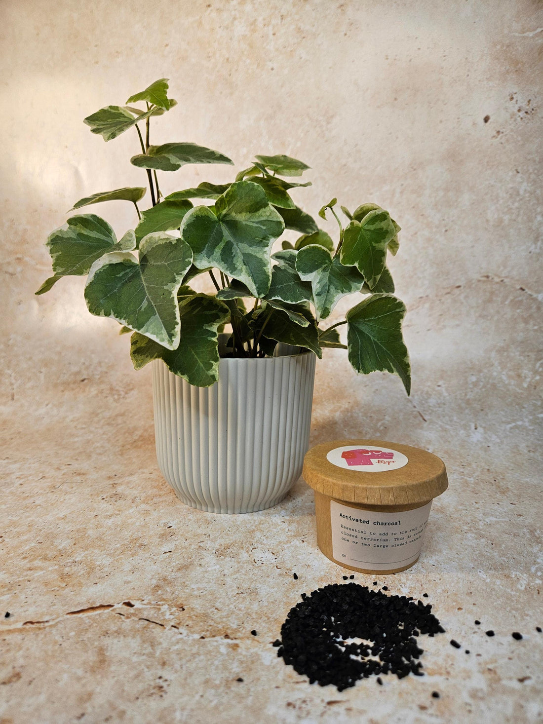 Activated Charcoal