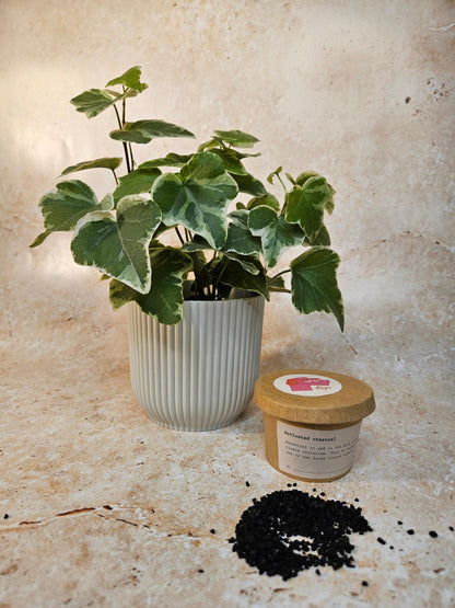 Activated Charcoal