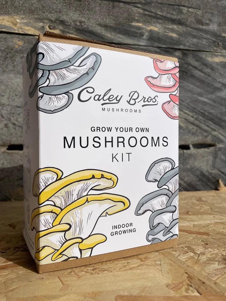 Caley Bros mushroom kits