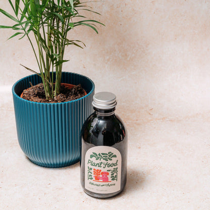 Seaweed Feed - Between Two Thorns