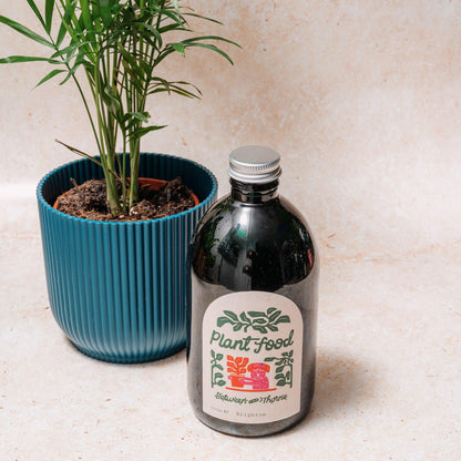 Seaweed Feed - Between Two Thorns