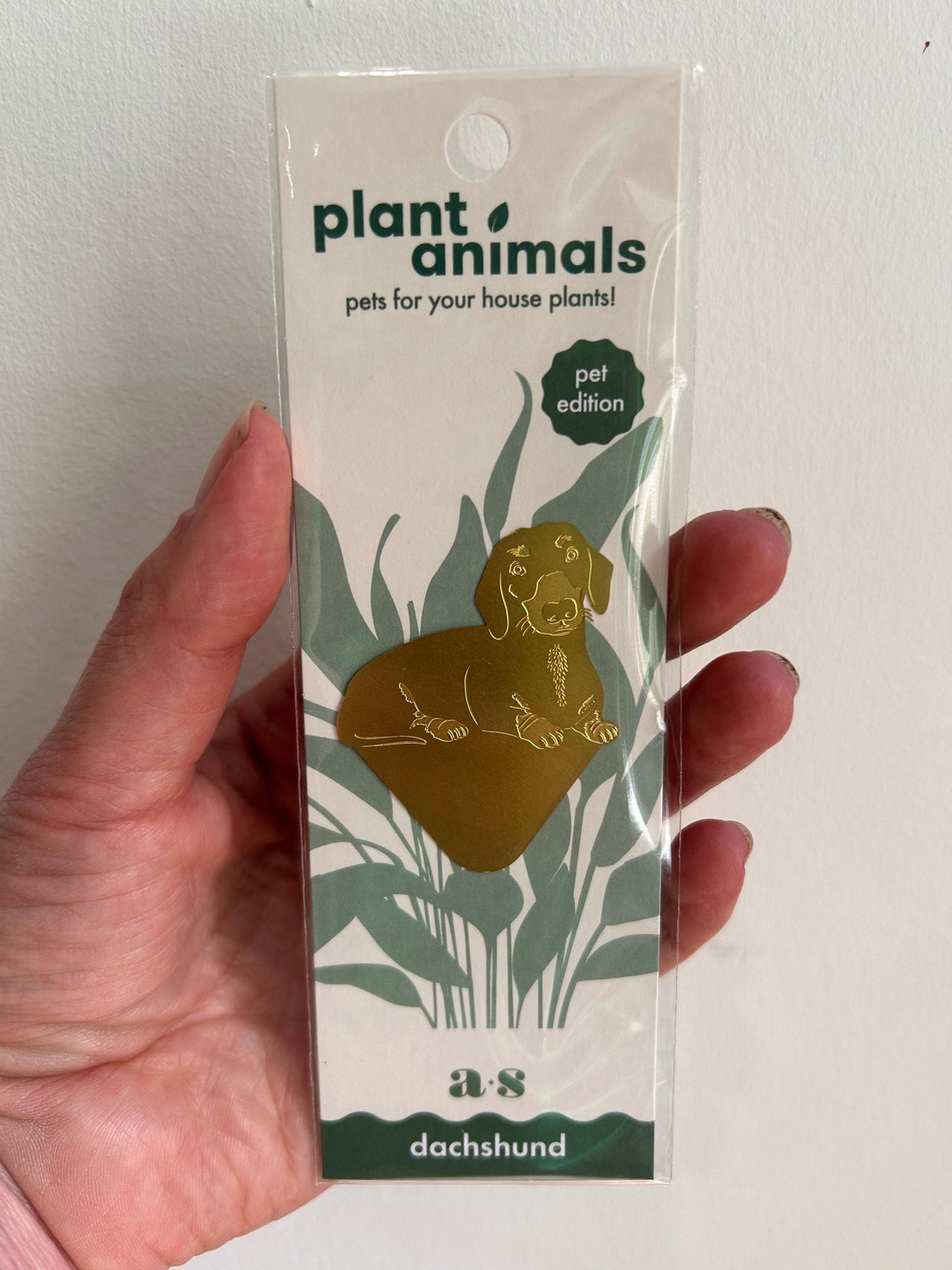 Plant Animals - Dachshund - Another Studio