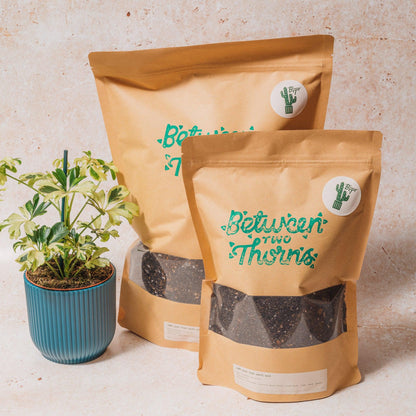 Cacti and Succulent Soil Mix