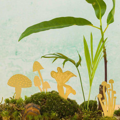 Mini Mushrooms - Another Studio