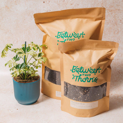 Peat-free Houseplant soil with substrates 500g &amp; 1kg bags
