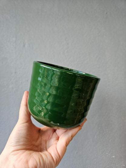 Ivyline Poinsettia Ripple Green Pot