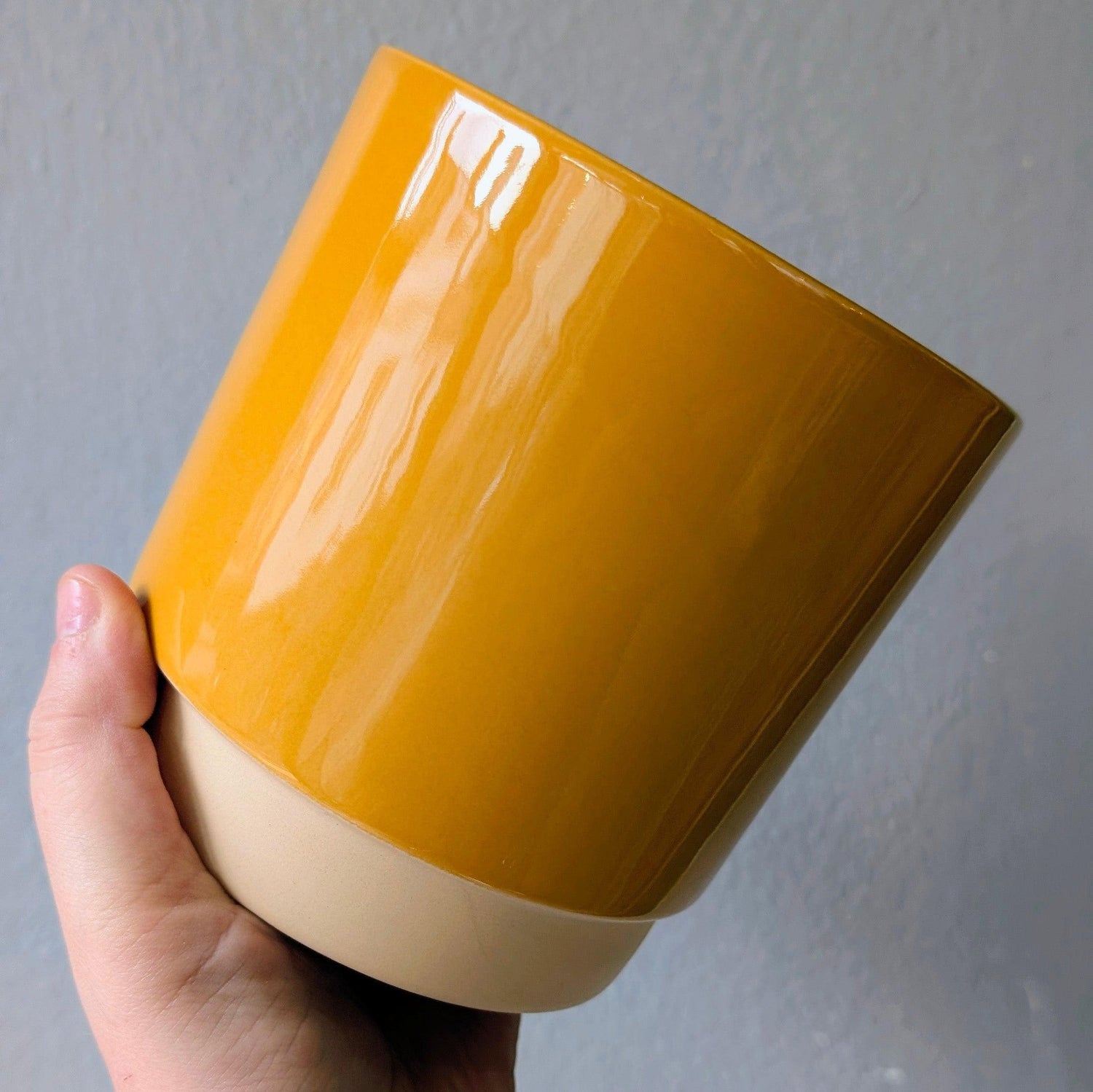 Ivyline Eno Ceramic Pots