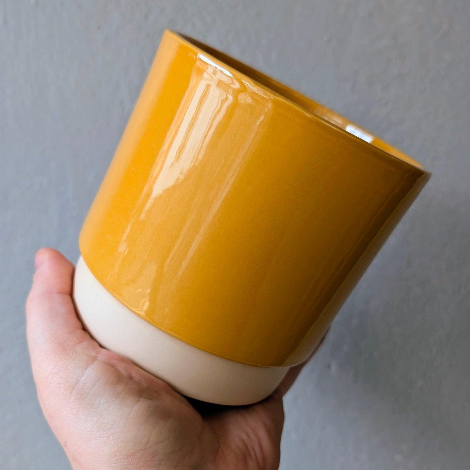 Ivyline Eno Ceramic Pots