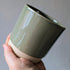 Ivyline Eno Ceramic Pots