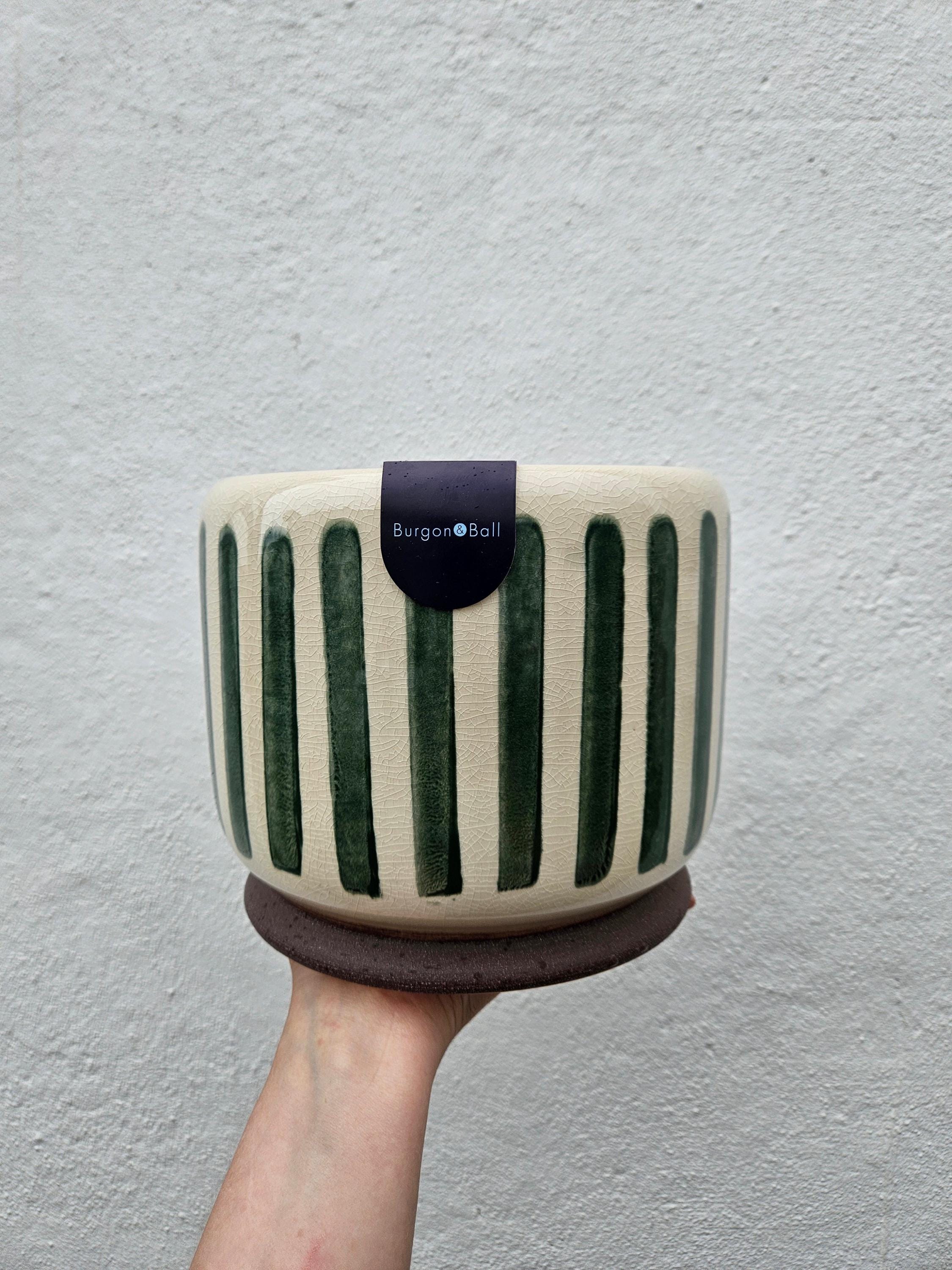 Striped Ceramic Pots (Available in 3 colours) -Various sizes available
