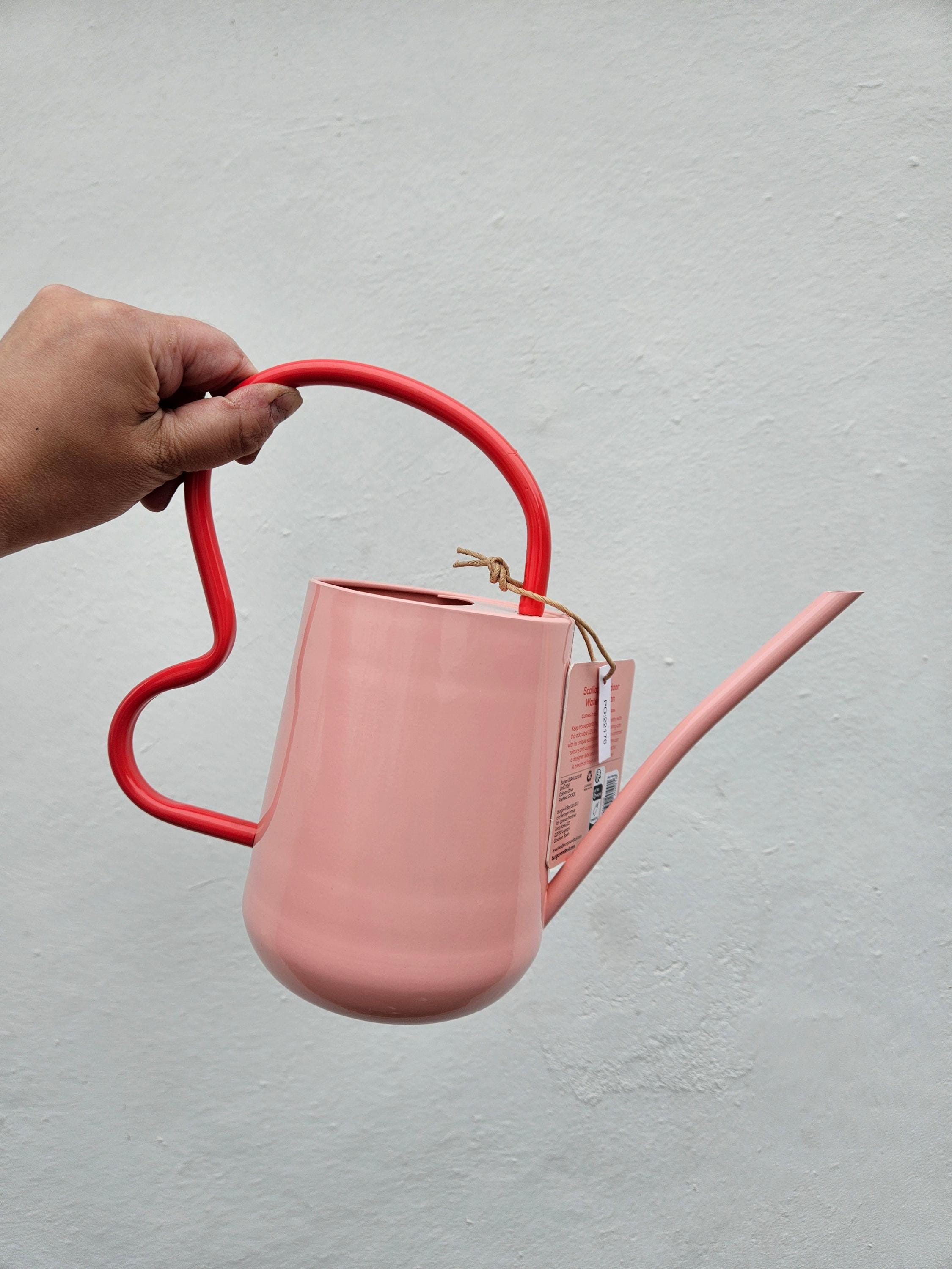 Colourful watering can- 1.2L -3 colour ways available