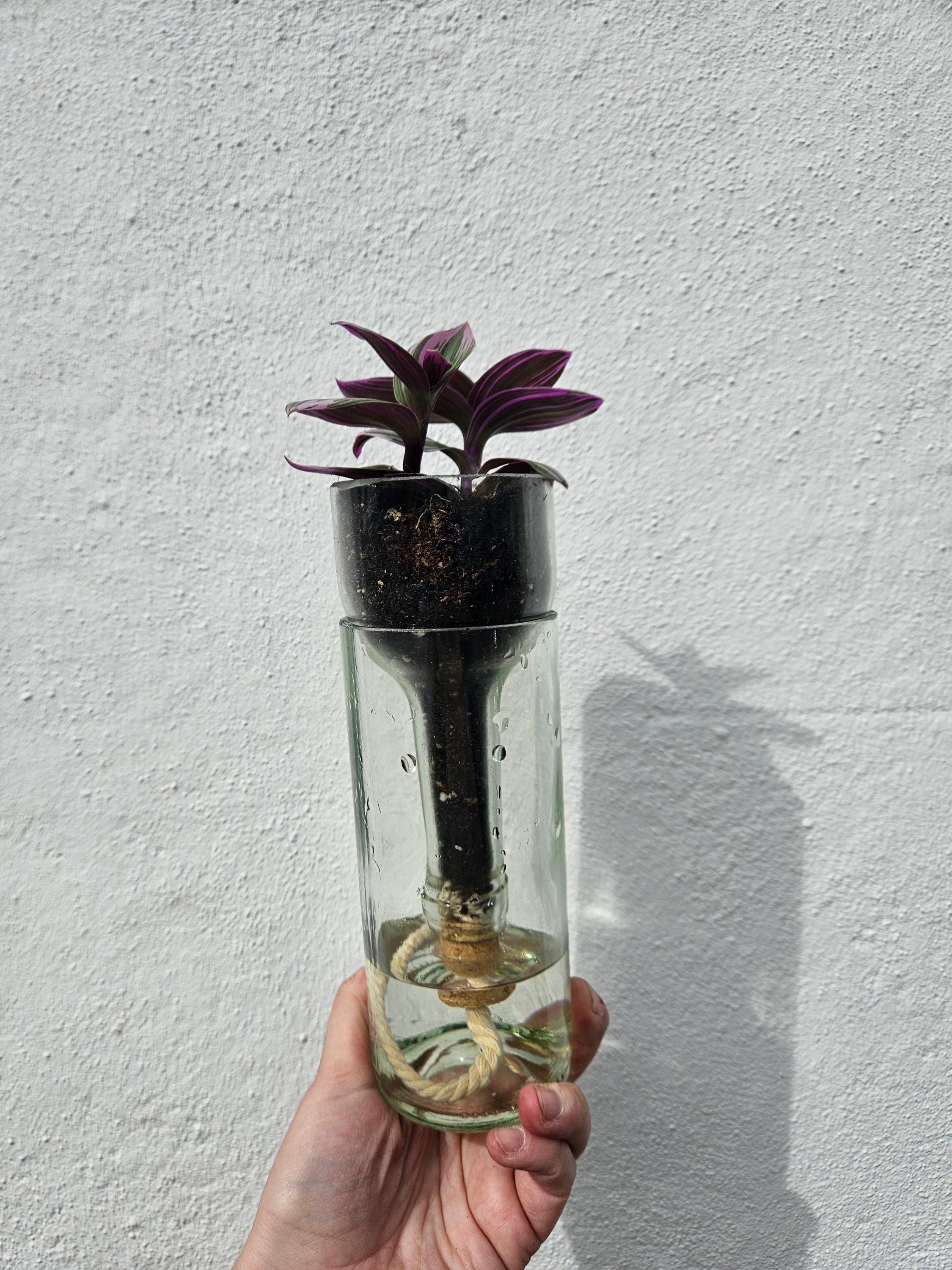 Self-watering bottle planter