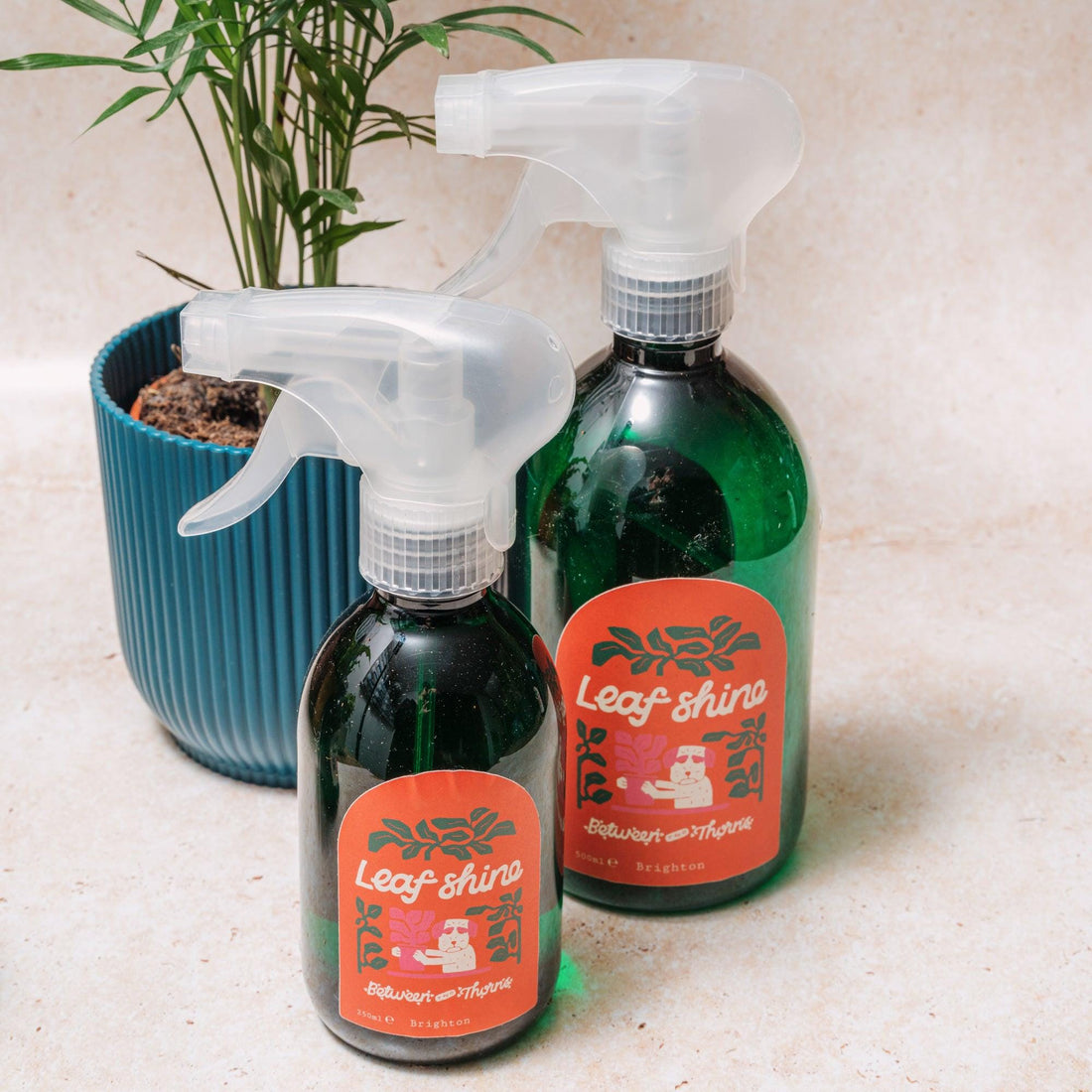 Leaf Shine - Between Two Thorns