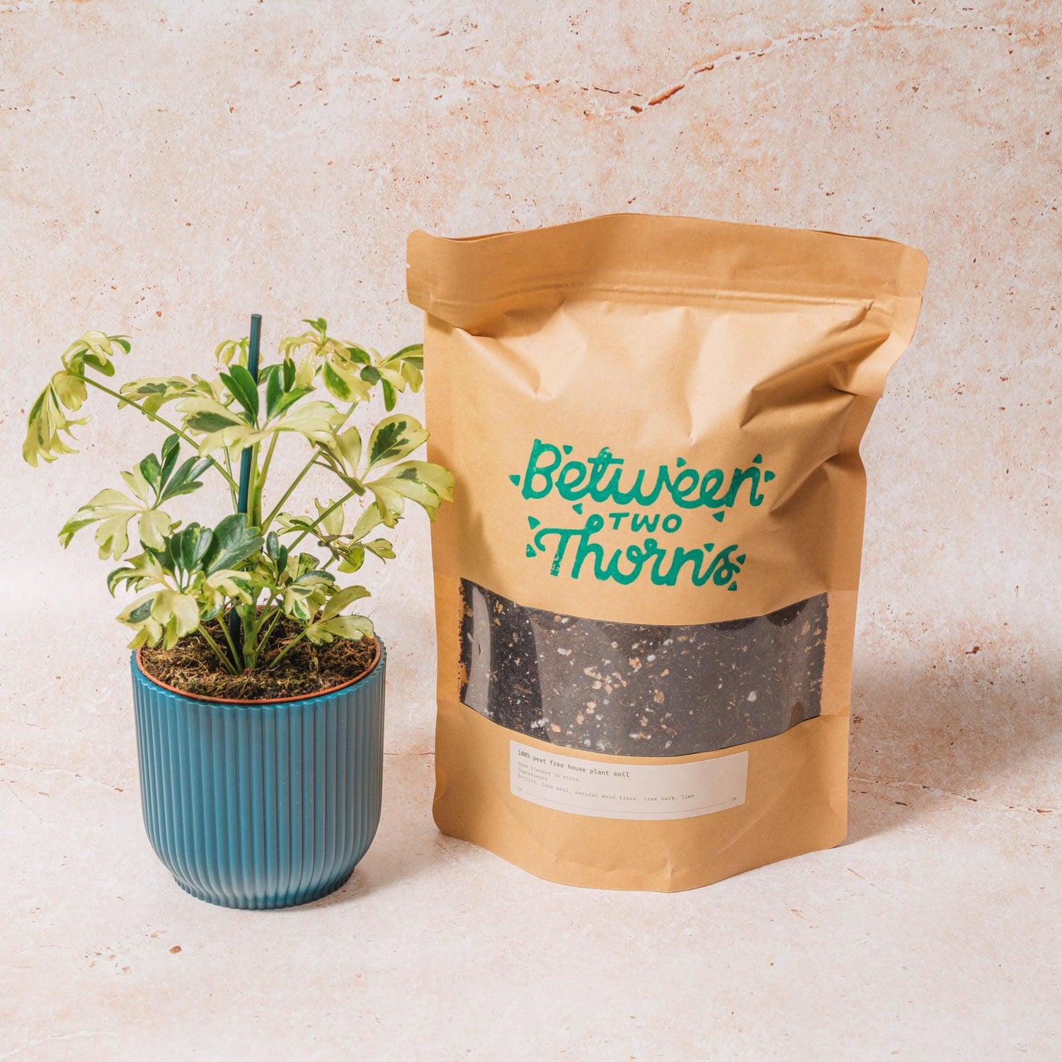 Peat-free Houseplant soil with substrates 500g &amp; 1kg bags