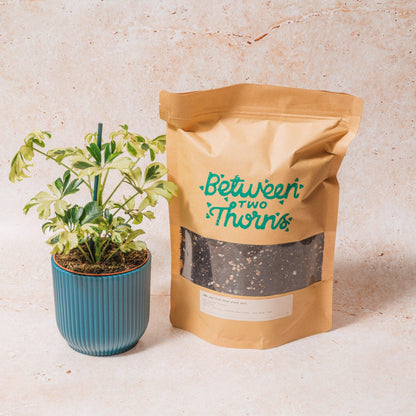 Peat-free Houseplant soil with substrates 500g &amp; 1kg bags