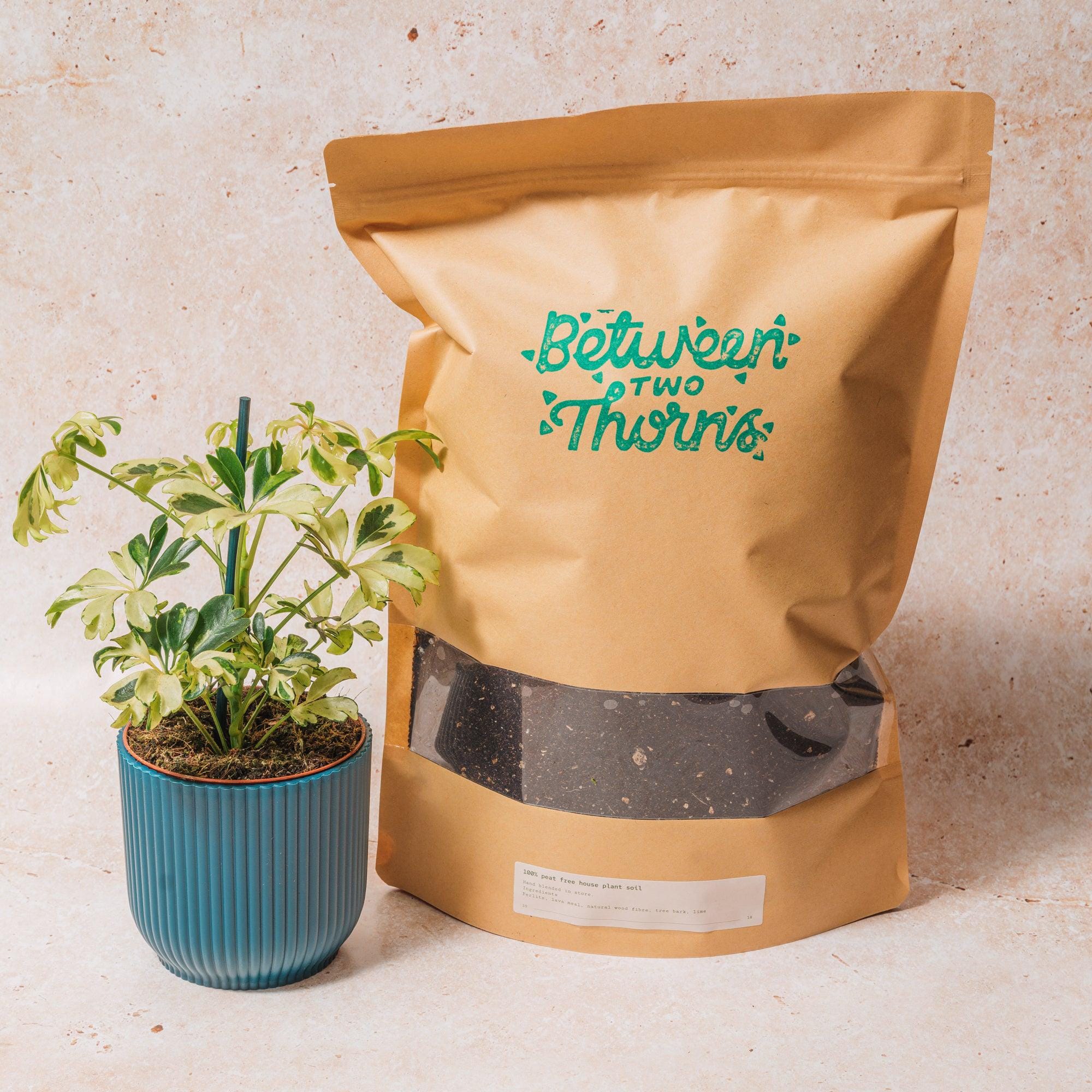 Peat-free Houseplant soil with substrates 500g &amp; 1kg bags