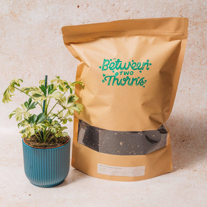 Peat-free Houseplant soil with substrates 500g &amp; 1kg bags