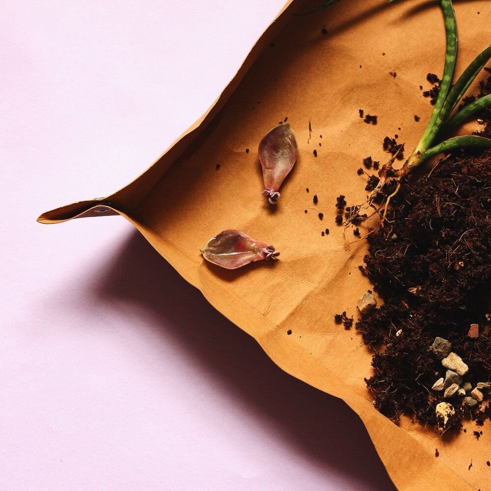 Potting Tarp (Hi-top, Large) by Shibui Ilk