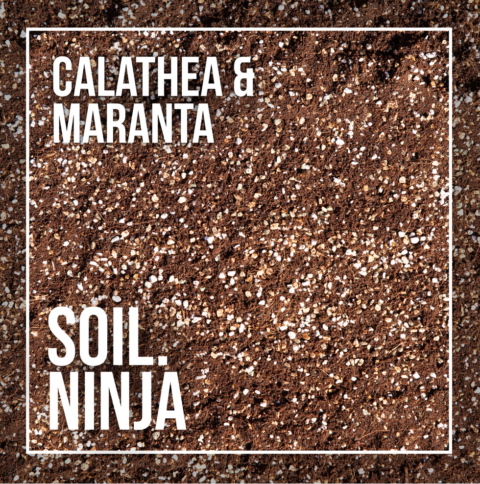 Calathea and Maranta Premium Houseplant Blend - Soil Ninja 2.5L, 5L, 10L