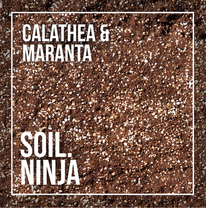 Calathea and Maranta Premium Houseplant Blend - Soil Ninja 2.5L, 5L, 10L