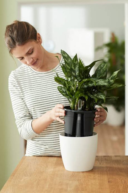 Elho Self-Watering Insert - Various Sizes available